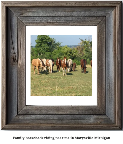 family horseback riding near me in Marysville, Michigan